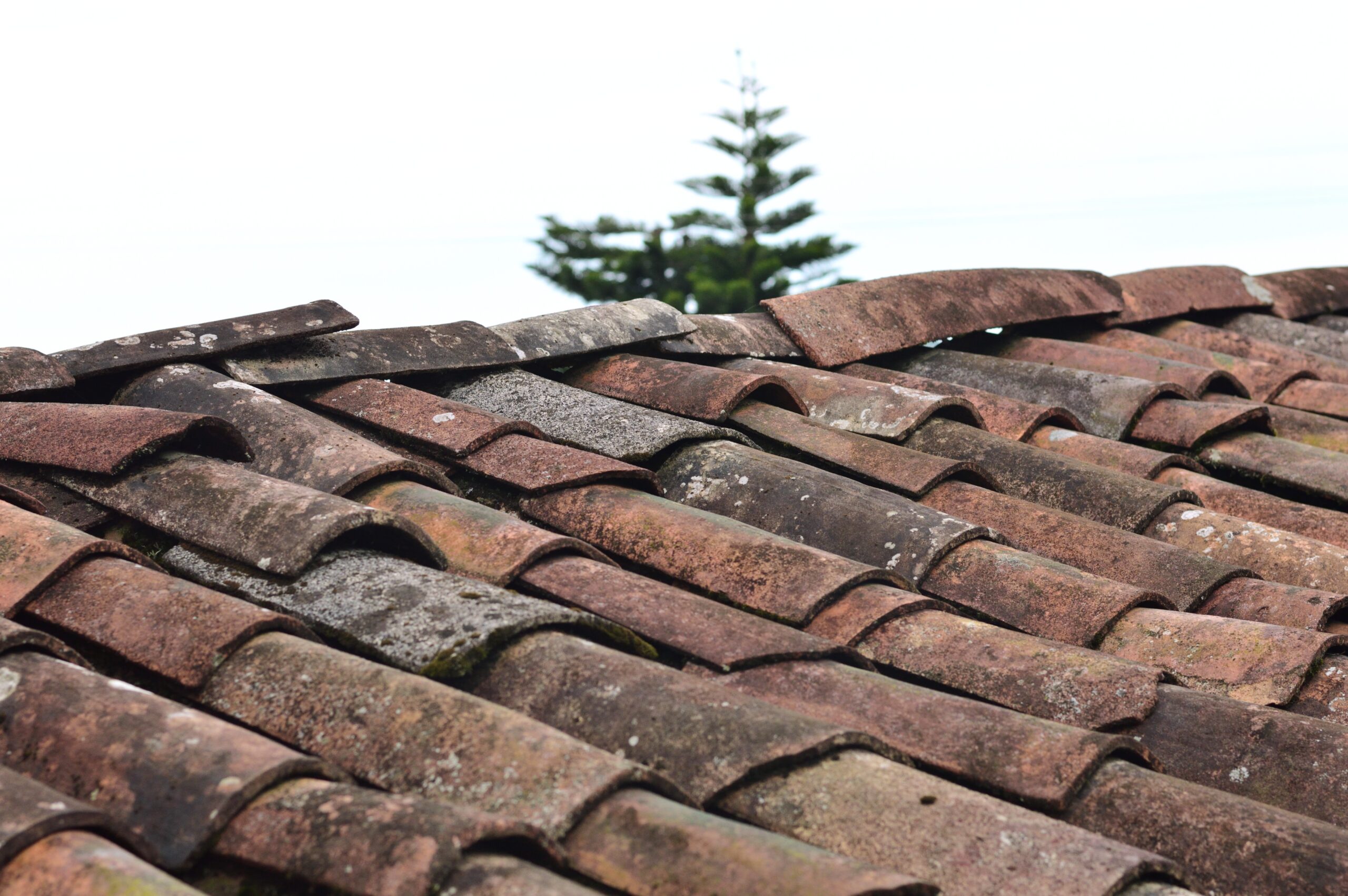 The Factors Determining The Cost Of Roof Repair in Cambridgeshire